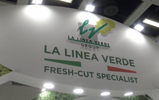 La Linea Verde amplia la gamma dei piatti unici e degli estratti