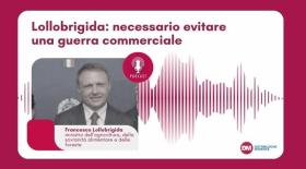 Lollobrigida: necessario evitare una guerra commerciale
