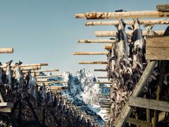 Il Norwegian Seafood Council porta l’eccellenza ittica norvegese a TuttoFood