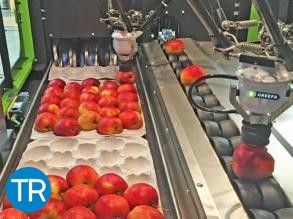 Vip: tecnologia e innovazione per una qualità costante 12 mesi l’anno