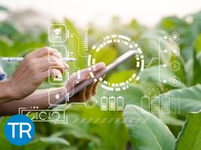 Bat Italia lancia la prima filiera tabacchicola made in Italy digitale