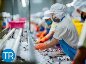 GS1 Italy: guida per la tracciabilità digitale nella filiera ittica