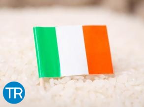 Riso Scotti accelera sull’export digitale B2B con Rosso Fine Food