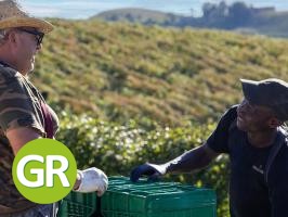 Fontanafredda pubblica il Bilancio di Sostenibilità 2024