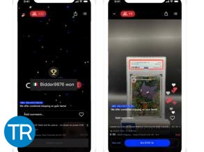 Catawiki introduce la diretta streaming nelle aste online
